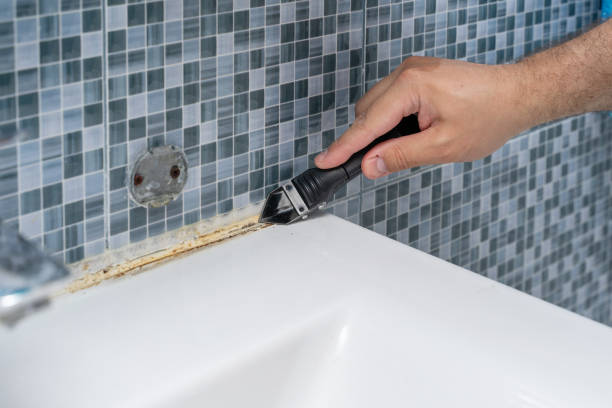 Best Toxic Mold Removal  in Phoenix, OR
